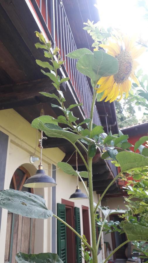 Pocoburro Ca' D'Arte Bed & Breakfast Montaldo Roero Exterior photo