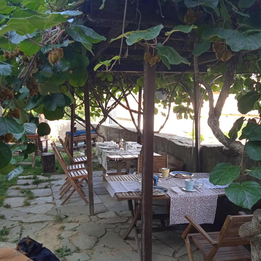 Pocoburro Ca' D'Arte Bed & Breakfast Montaldo Roero Exterior photo